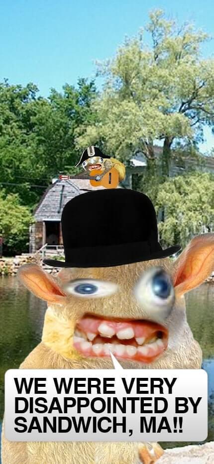 Cell phone photo of the spongmonkeys in Sandwich, Massachusetts