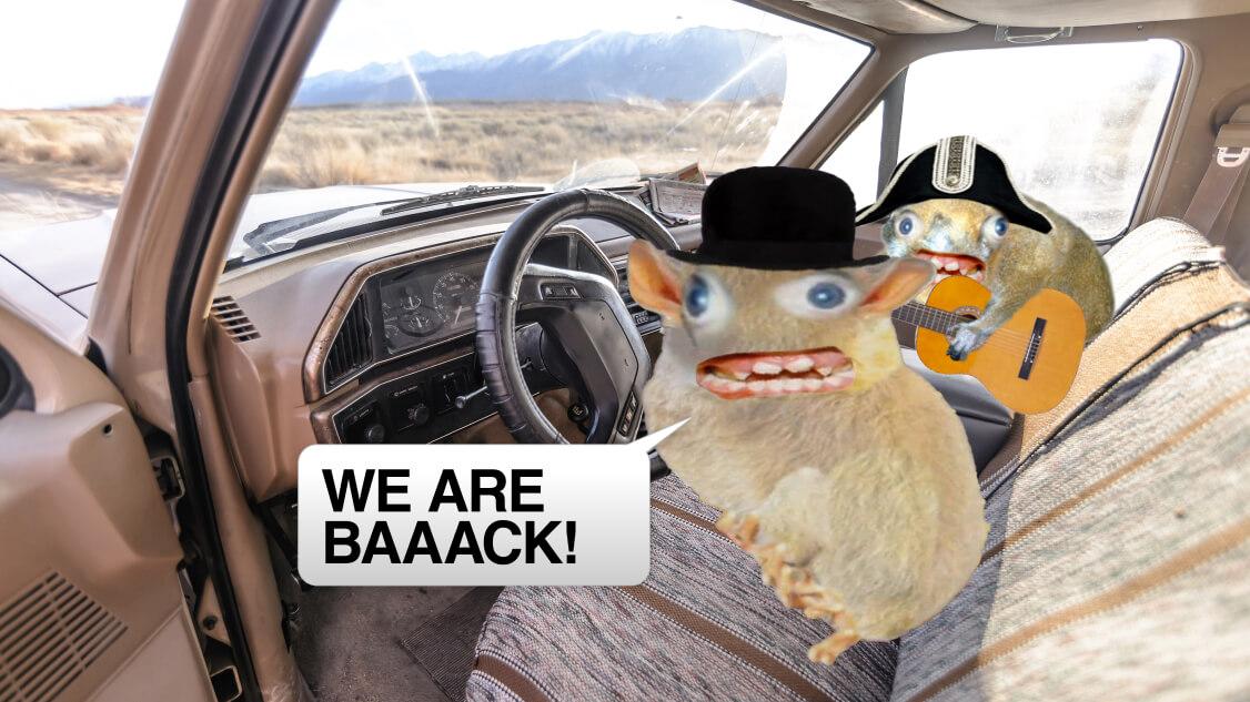 Poster for video showing spongmonkeys in car